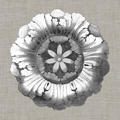 Rosette neutre II
