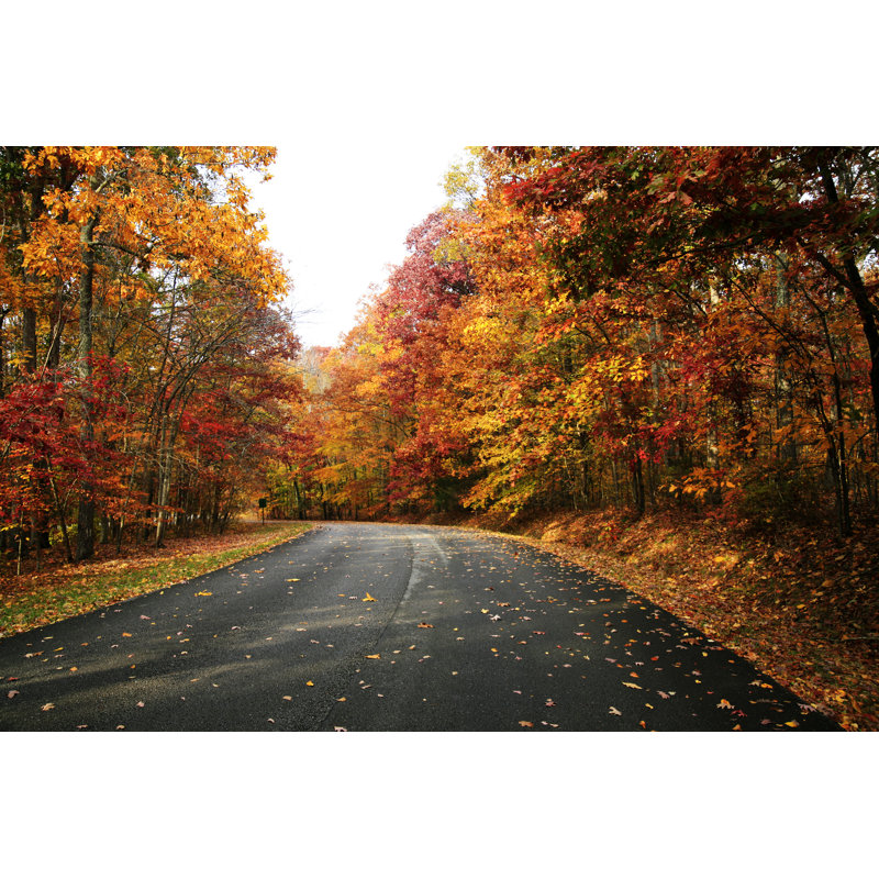 Fall Road - Photographie sur toile tendue, H 8 po x l 12 po