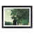 Black Framed selected