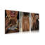 3 Piece Wrapped Canvas Set