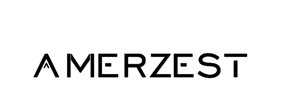 AMERZEST Logo