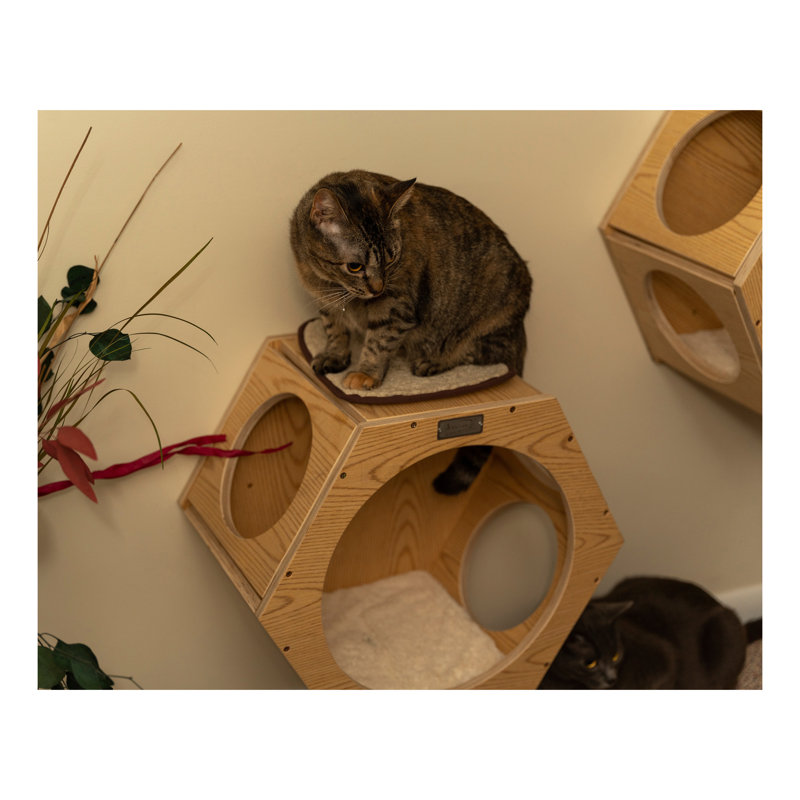 Natural Wood Hexagonal Wall-Mounted Cat Shelves Set
