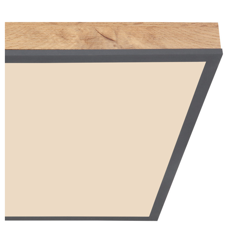 Tejal LED Flush Mount