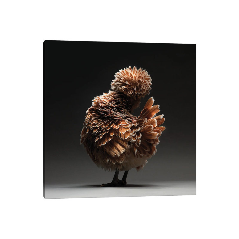 Padovana by CHICken - Wrapped Canvas Print, 30.48 cm H x 30.48 cm W