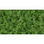 Faux Foliage Hedge