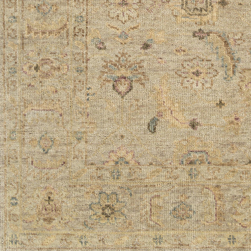Biscayne Wool Oriental Area Rug, Rectangle 2' x 3'
