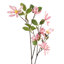 Magnolia Arrangement