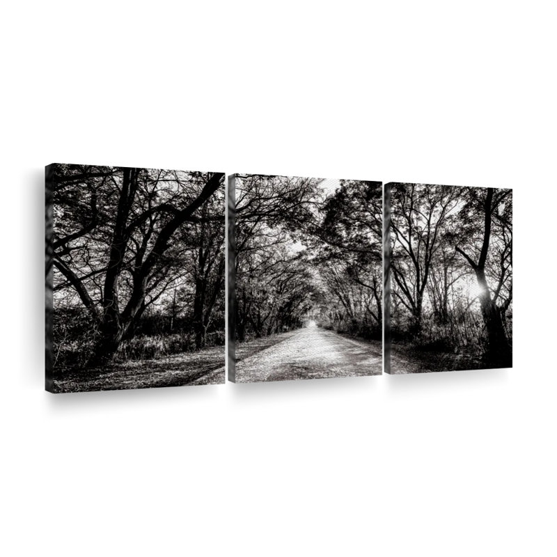 Ensemble de 3 pièces sur toile Trees BW Forest Path, H 15 po x l 32 po x P 1,25 po