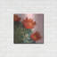 «Blooming Succulent IV» par Carol Rowan-1422644052