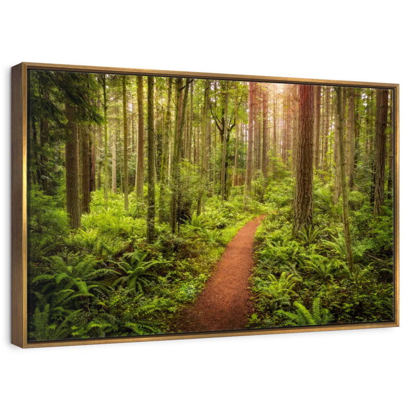 Washington Rainforest, Cadre flottant doré, 31 po x 21 po