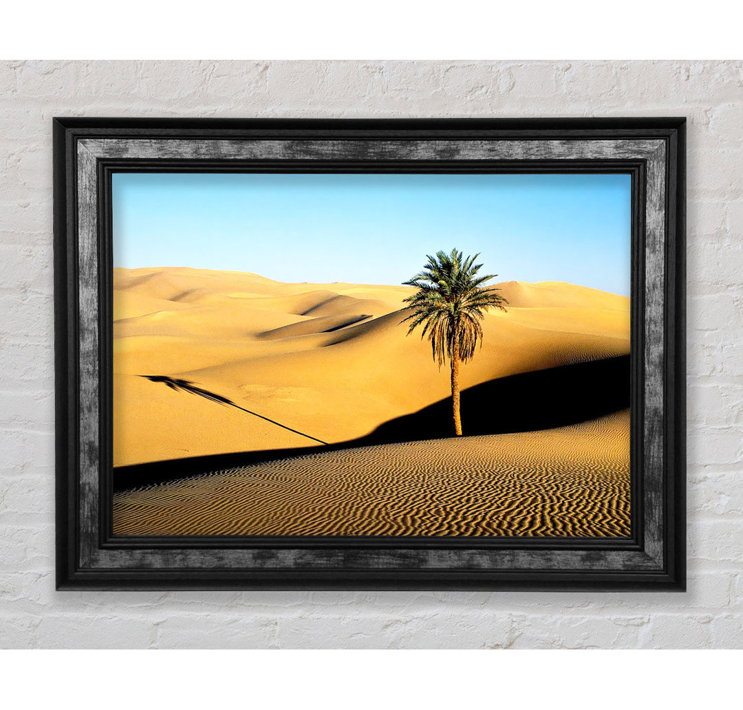 Desert Palmtree Gerahmter Druck