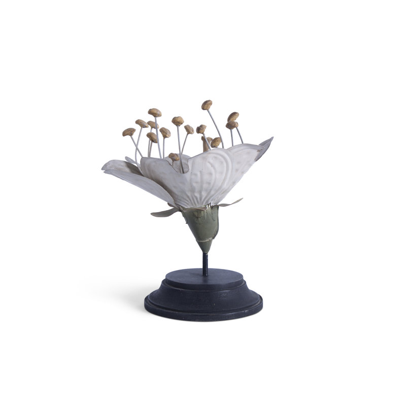 Plant Model