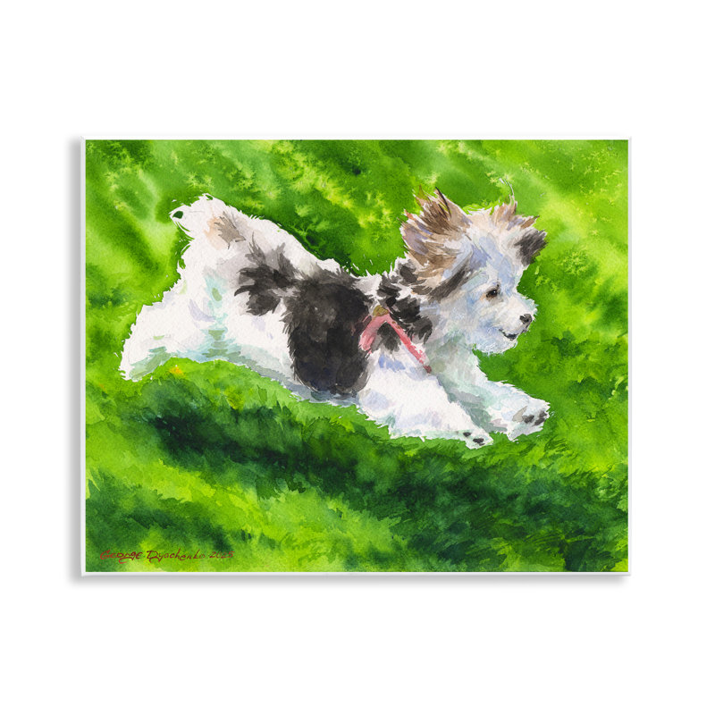 Plaque de course Happy Maltipoo, design par George Dyachenko