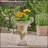 DELPHINE URN