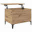 Lift Top Coffee Table with Storage-1855284313