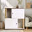 Double Cat Litter Box Enclosure with Scratching Posts for 2 Cats