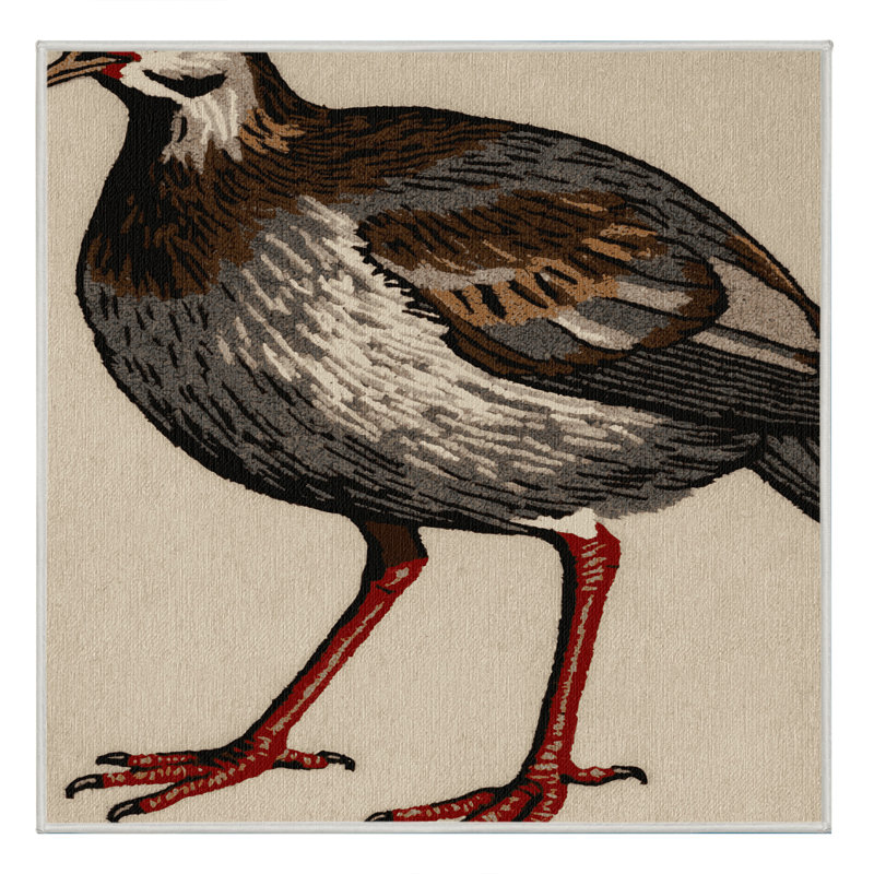  Tapis lavable à pattes rouges, Carré 4 pi
