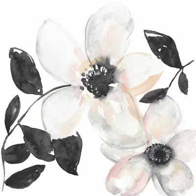 Black And Blush Anemone I by Jennifer Goldberger - Wrapped Canvas Painting