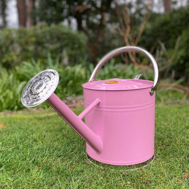 Metal Watering Can