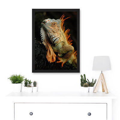 Photo Animal Iguana Lizard Reptile Scales Spines Artwork Framed A3 Wall Art Print
