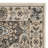 Petronella Viscose Oriental Rug in Ivory-19261755