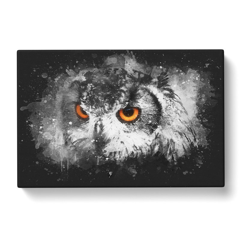 Orange Eyed Owl - Wrapped Canvas Print, 35cm H x 50cm W x 3cm D