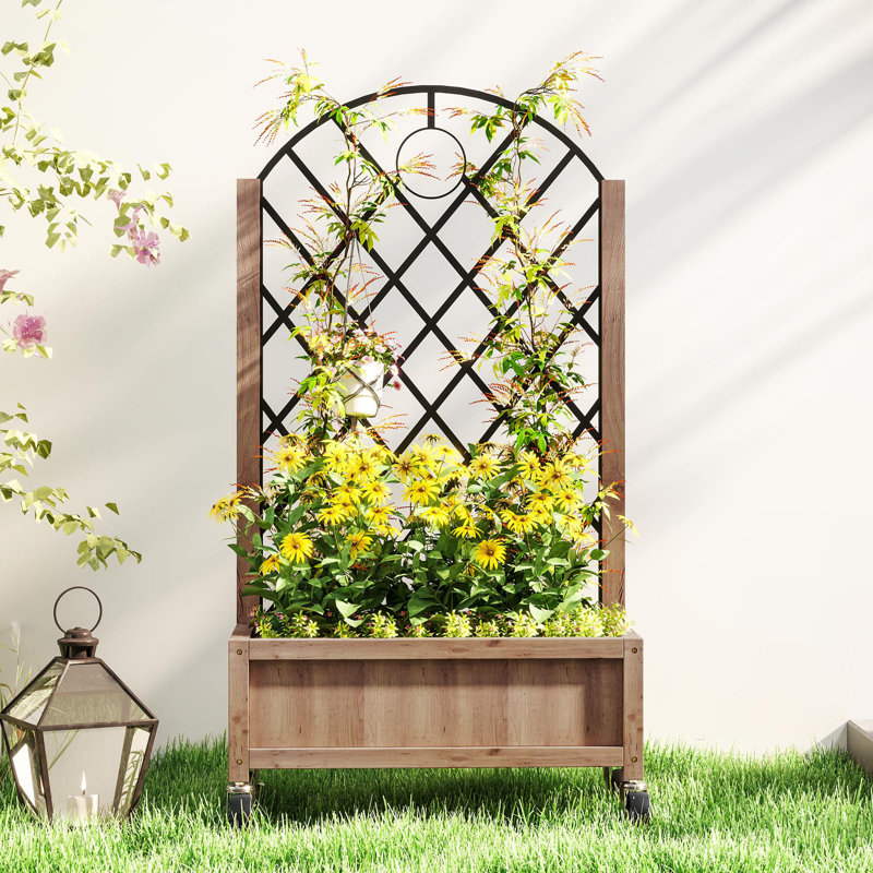 Raised Garden Bed, 1