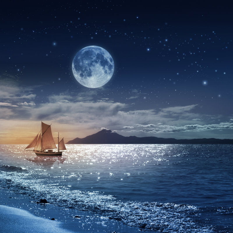 Moon Night by O-che - Wrapped Canvas Print, 91cm H x 91cm W