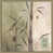 Cadre flottant champagne sélectionné