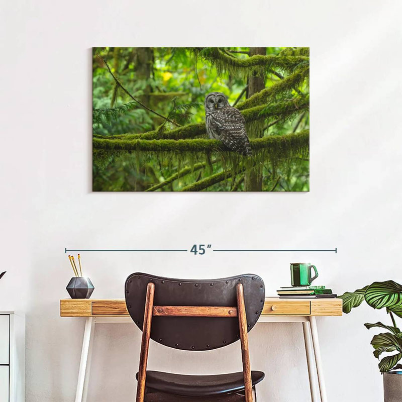 Brampt Mossy Tree Owl, 24" H x 36" W