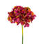 Ensemble de 12 hortensias Almost Real 14 po rose-123449717