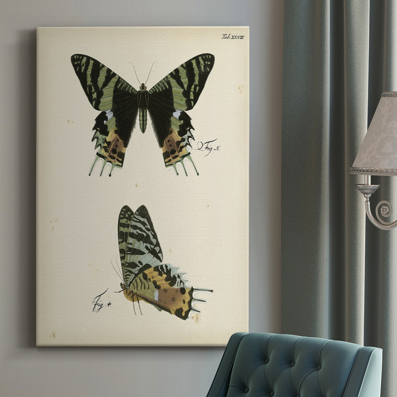 «Butterfly Profile III», impression sur toile tendue, H 60 po x l 40 po x P 1,5 po
