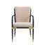  Ensemble de 2 chaises d'appoint luxueuses et luxueuses, noir et luxueux, cadre en métal