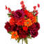 14 tiges de rosier-87862586-87862591