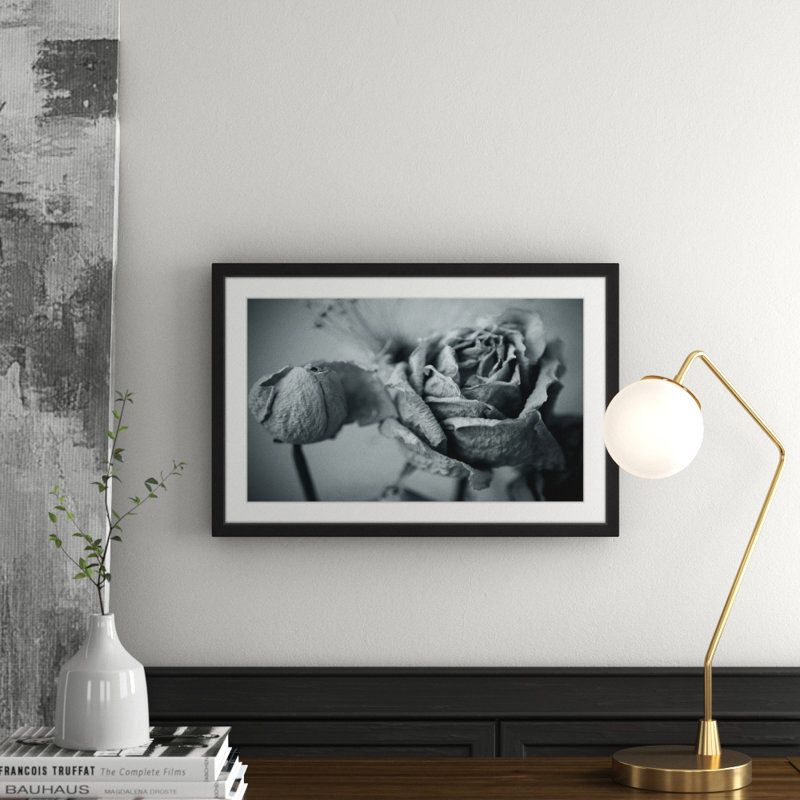 Judy Stalus - Single Picture Frame Print, 41cm H x 61cm W x 3.81cm D