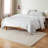 TOWN & COUNTRY EVERYDAY Cloud Shag Area Rug Beige-91338304