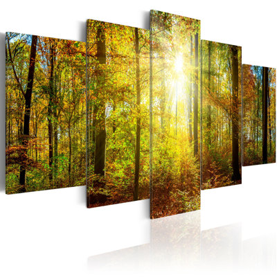 5 Piece No Frame Print on Canvas