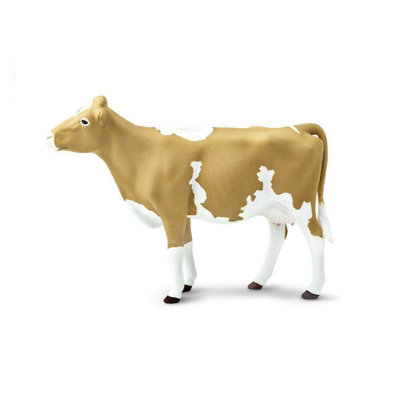 Vache Guernsey