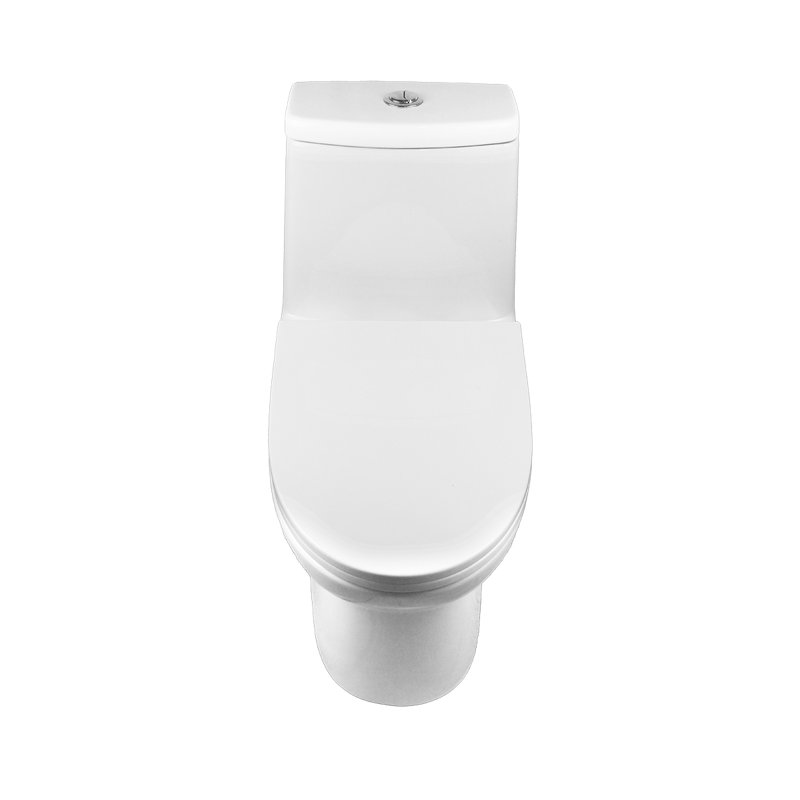 Toilette une pièce à double chasse Drovia avec siphon dissimulé pleine jupe