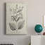 Antique Botanical II, impression sur toile tendue-880625613