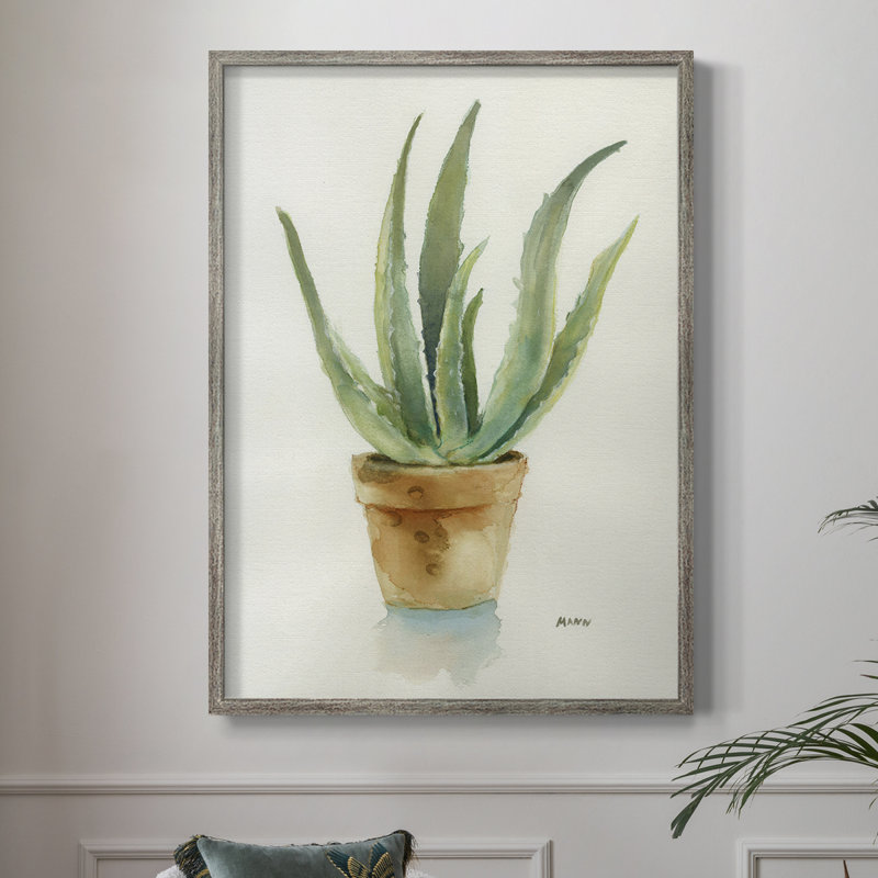 Succulent IV Framed Print - Solid Wood, 11" H x 9" W