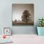 «Stillness» par PhotoINC Studio-333949566