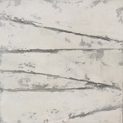 Gray' Print on Canvas