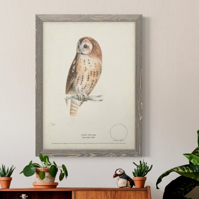 Toile encadrée de qualité supérieure Tawny Owl - prête à être accrochée