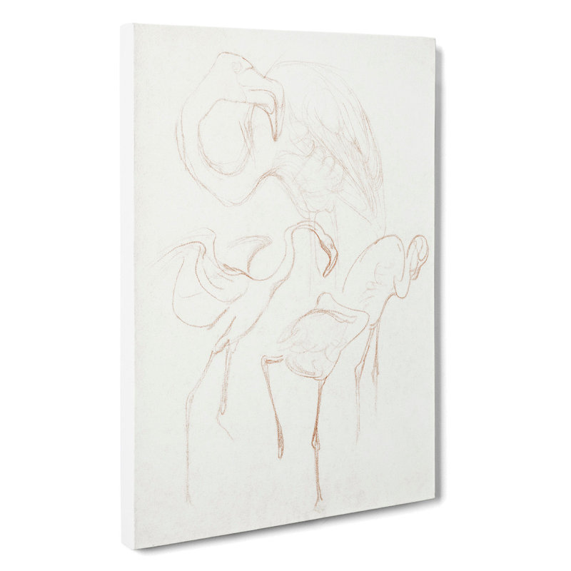 Flamingo Study by Theo Van Hoytema - Wrapped Canvas Painting, 60cm H x 40cm W x 3cm D