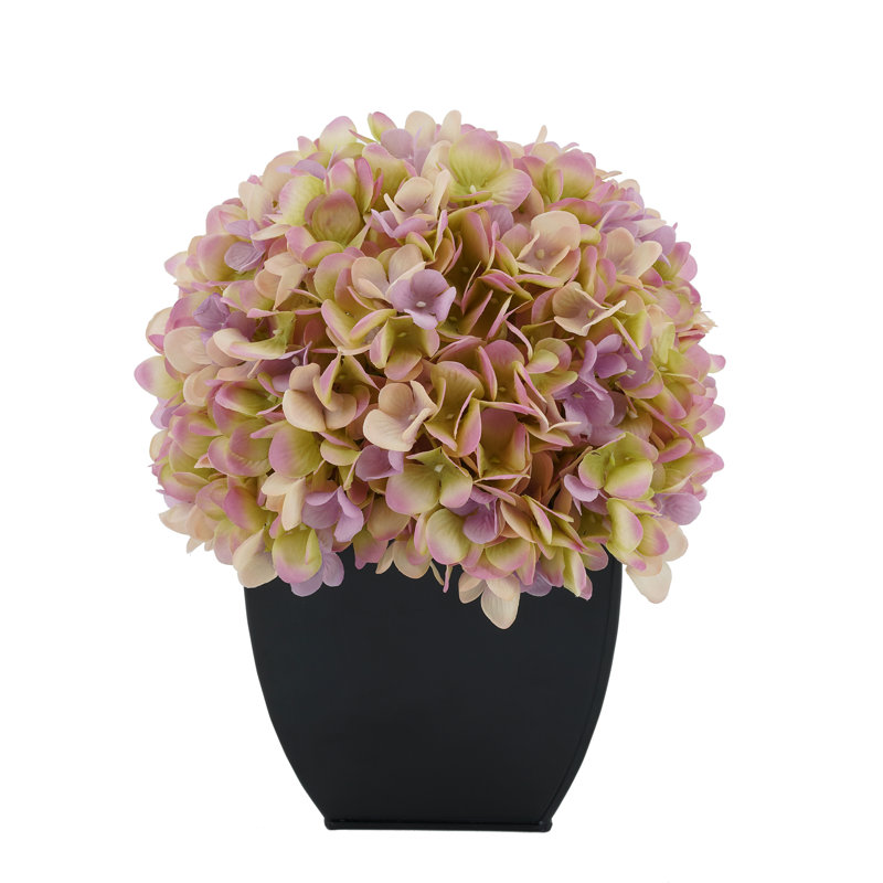 Arrangement floral hortensia en pot, Lilas