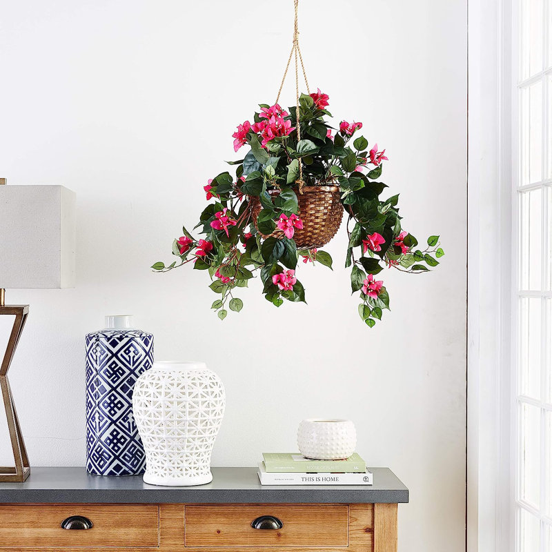 Bougainvillea Hanging Basket Arrangement in Basket