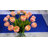 Tulip Flower Bundle 19 Stems