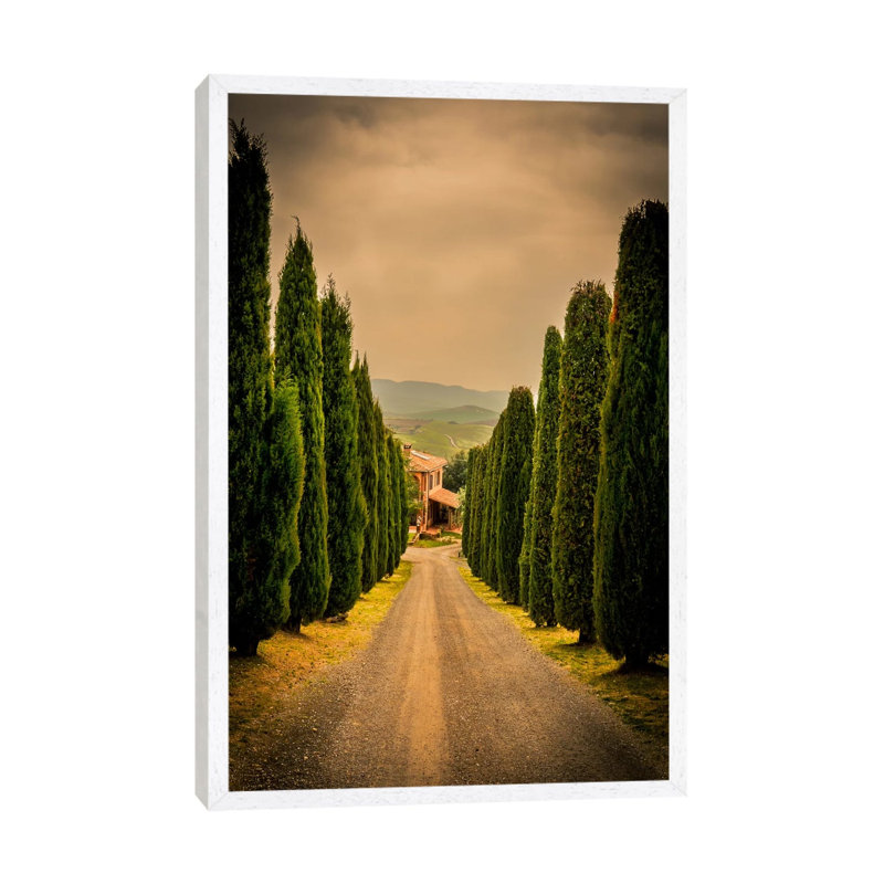 Val D'Orcia, Tuscany by Enzo Romano - Floater Frame Print on Canvas, 66.04 cm H x 45.72 cm W, White Framed