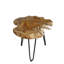 Marjo Tree Stump End Table